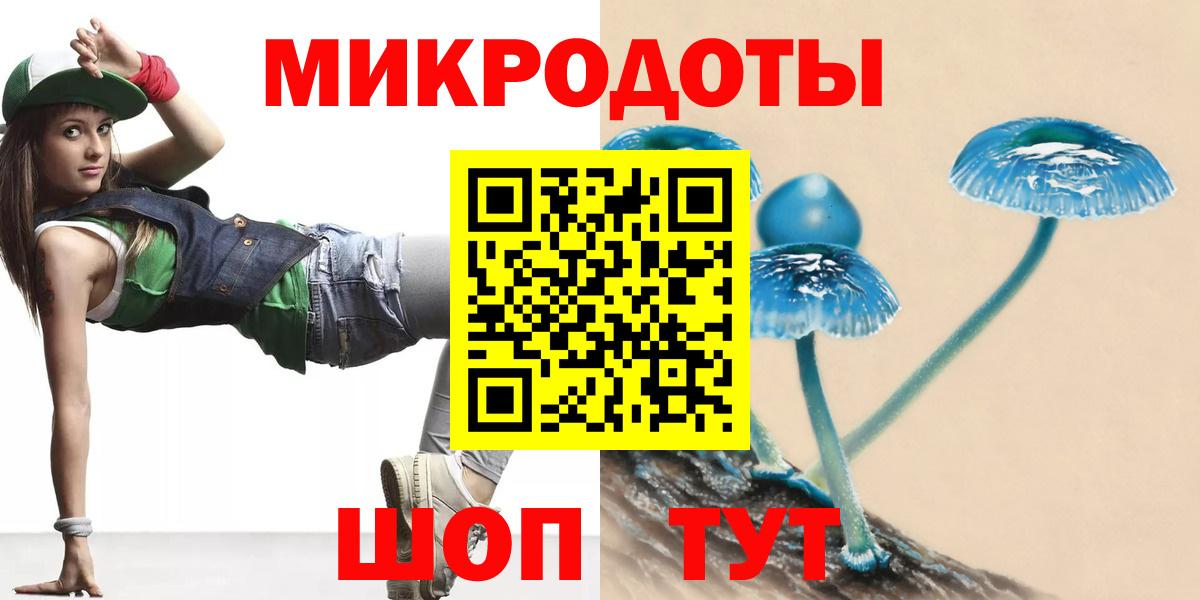 Псилоцибиновые грибы Psilocybe  Вход с VPN  Псилоцибиновые грибы мицелий  Камышин 